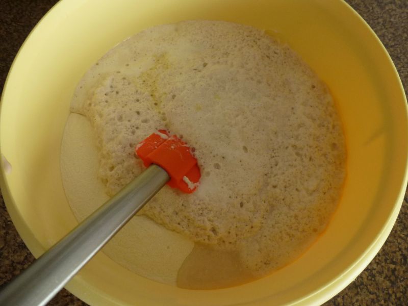 Domáca kysnutá knedľa