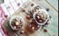 Nutelové fitness muffiny